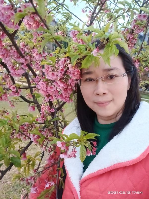 丁保母