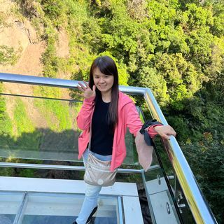 洪保母