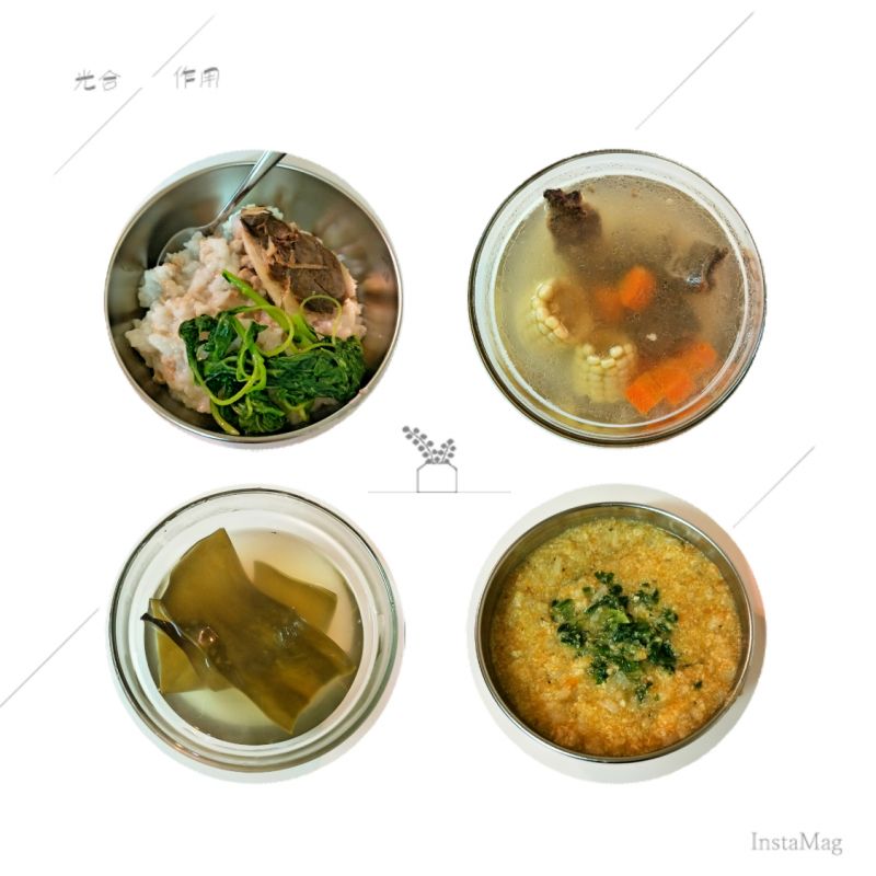 托育照片 4