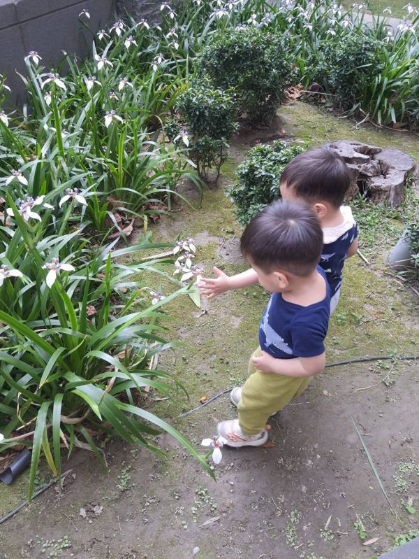 托育照片 4