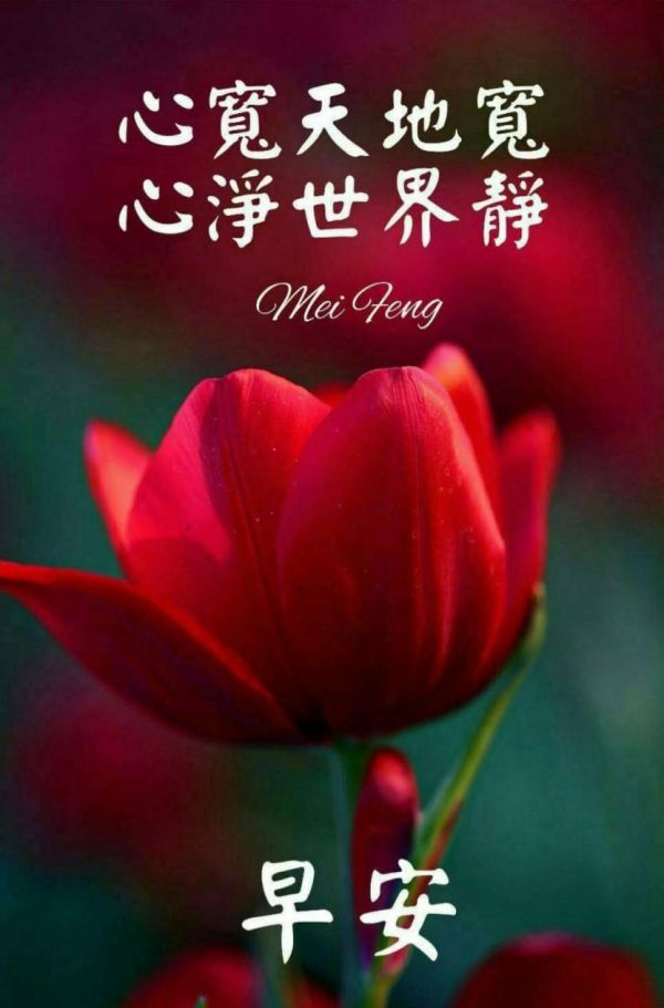 Chen小姐