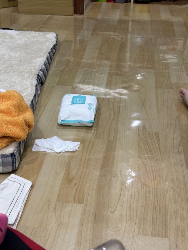 托育照片 2