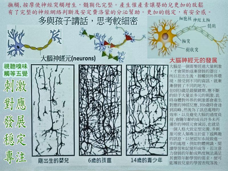 托育照片 2