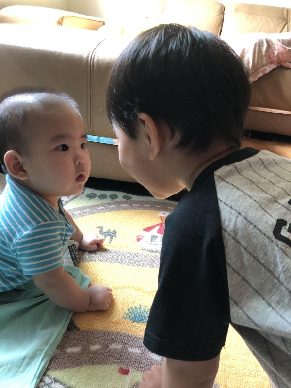 章保母