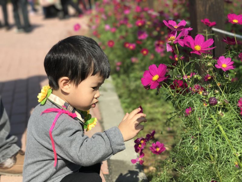 保母菀萱
