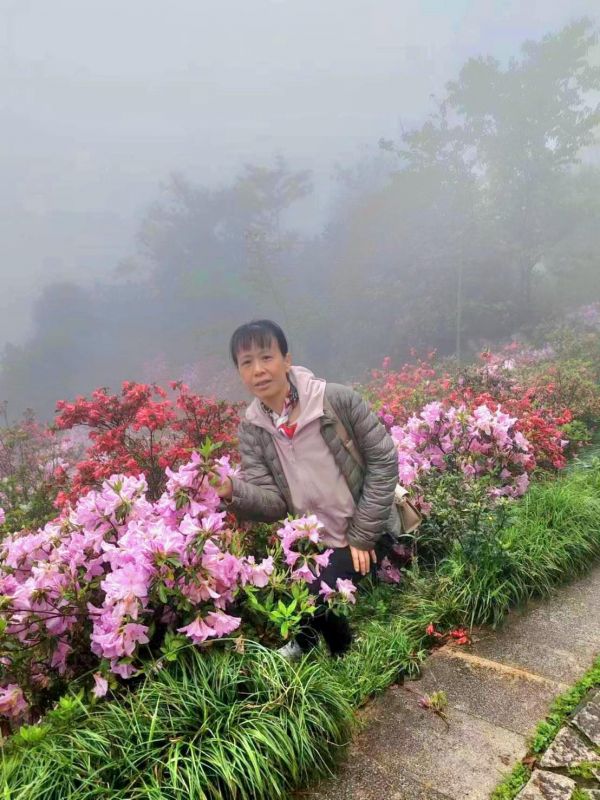 張保母