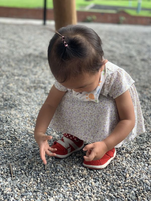 邱保母